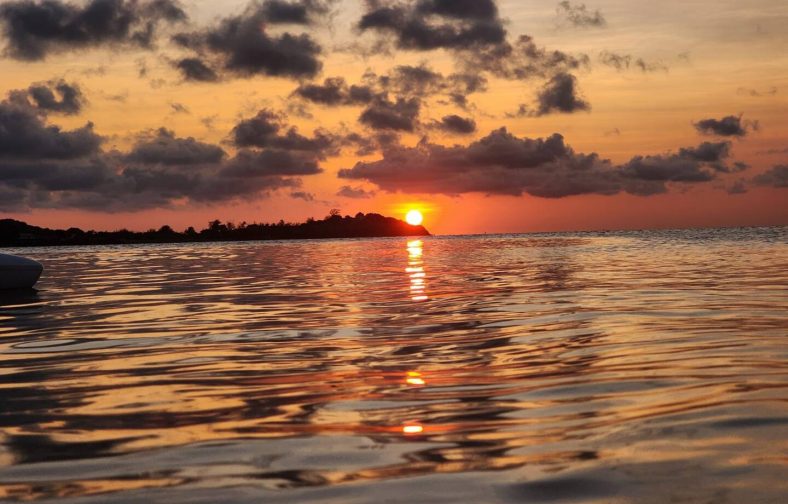 f9a1289e-abfb-49fd-a715-3bc212382d51